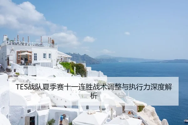 TES战队夏季赛十一连胜战术调整与执行力深度解析